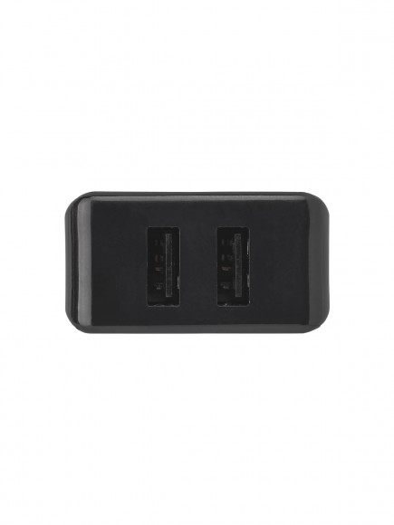 Сетевое зарядное устройство, СЗУ 4, 2,1 А, 2 USB, черный, TDM