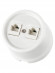 Розетка двойная компьютерная RJ45 белая «Болонь» TDM