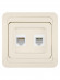 Розетка компьютерная RJ-45 + TФ (RJ-11) сл. кость "Валдай" TDM