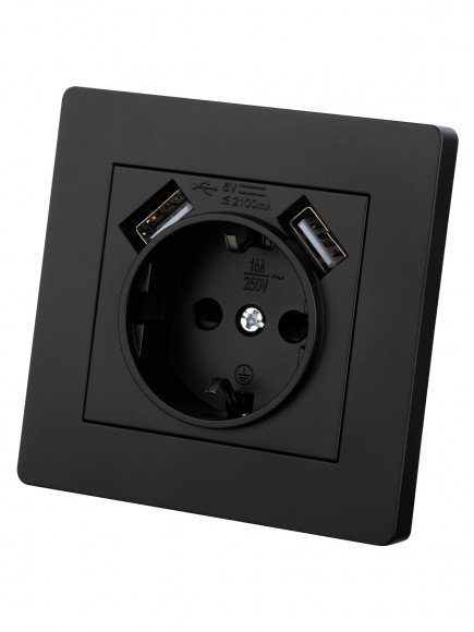 Розетка 2П+З 16А 250В + 2 USB порта 2,1А 5В черная "Сенеж" TDM