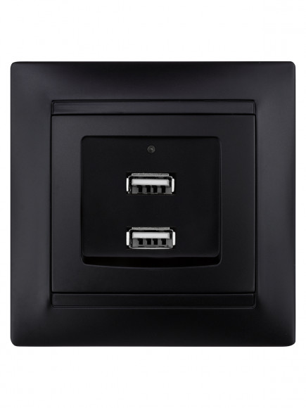 Розетка 2USB порт 2,1А 5В графит "Лама" TDM
