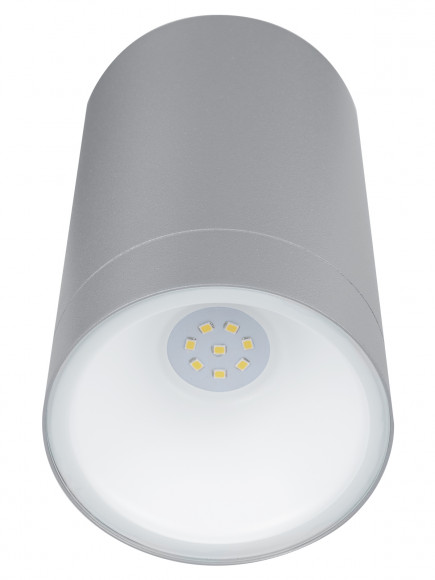 Светильник настенный LED, Соло, 6 Вт, 4000 К, H160 мм, алюм./сер., IP65, TDM