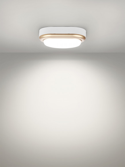 Светильник накладной LED ДПО "Антарес" 8Вт 6500К овал 168*100*58 мм мат.золото IP54 TDM