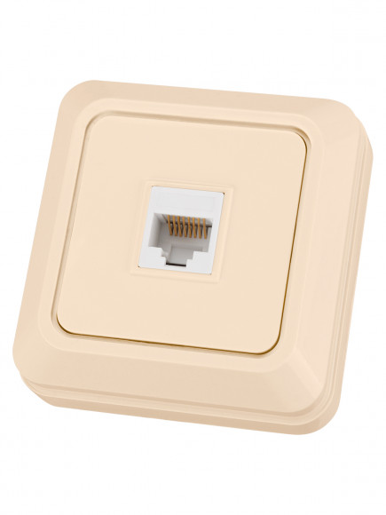 Розетка компьютерная (RJ-45) открытой установки IP20, сл. кость "Ладога" TDM Розетка компьютерная (RJ-45) открытой установки IP20, сл. кость "Ладога" TDM