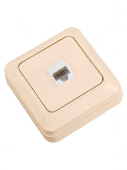 Розетка компьютерная (RJ-45) открытой установки IP20, сл. кость "Ладога" TDM Розетка компьютерная (RJ-45) открытой установки IP20, сл. кость "Ладога" TDM