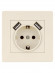 Розетка 2П+З 16А 250В + 2 USB порта 2,1А 5В сл. кость "Сенеж" TDM