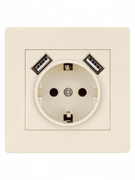 Розетка 2П+З 16А 250В + 2 USB порта 2,1А 5В сл. кость "Сенеж" TDM