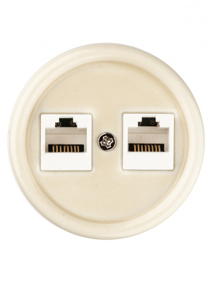 Розетка двойная компьютерная RJ45 сл. кость «Болонь» TDM Розетка двойная компьютерная RJ45 сл. кость «Болонь» TDM